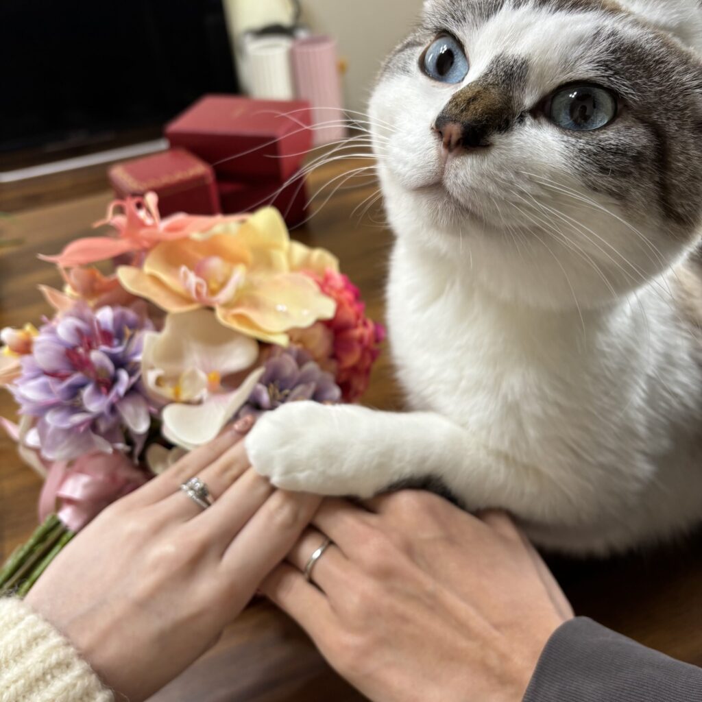 Lif design のウェディングブーケ ドライフラワー Cartierの婚約指輪と結婚指輪 バレリーナ 保護猫 入籍フォト