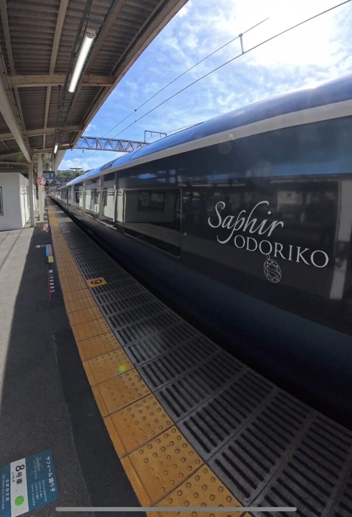伊東駅　サフィール踊り子