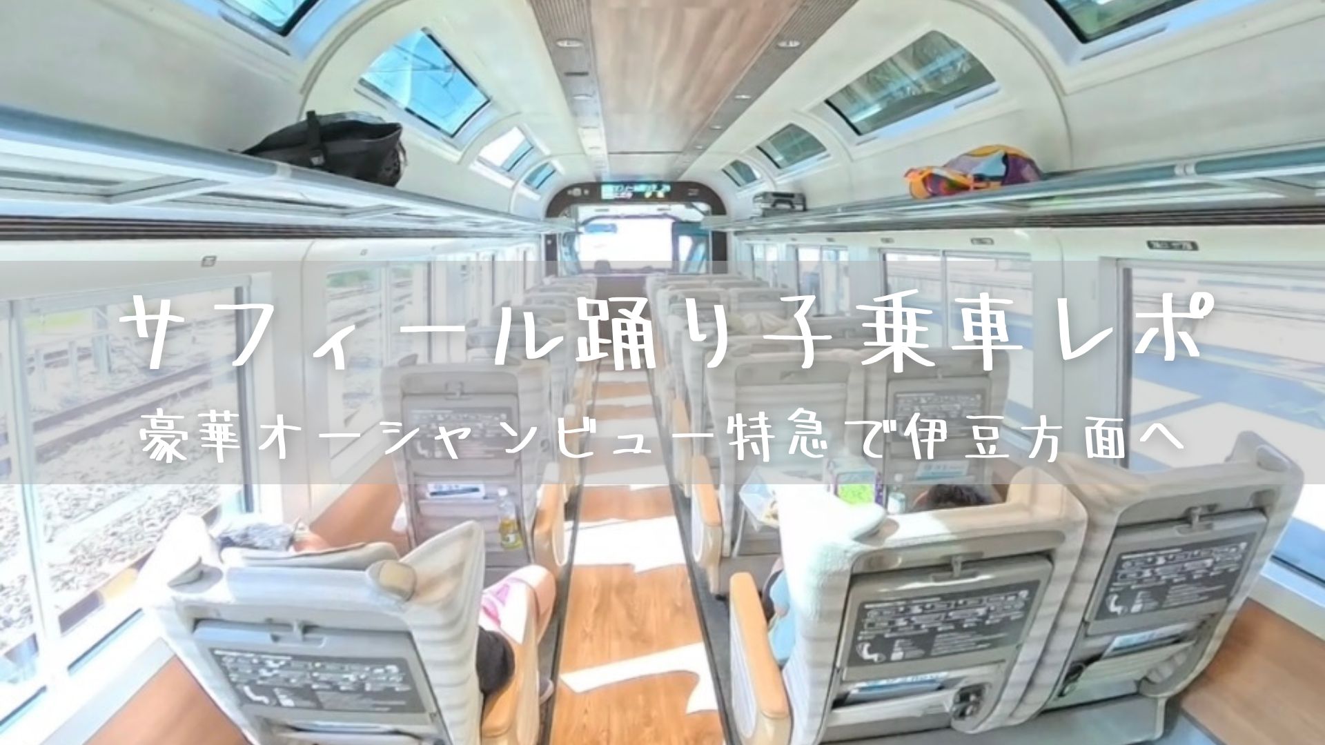 サフィール踊り子乗車レポ