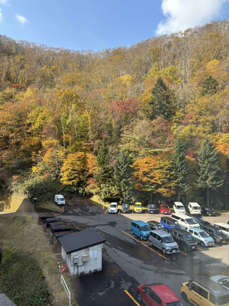 登別グランドホテル　南館新客室　コンフォートツイン　紅葉